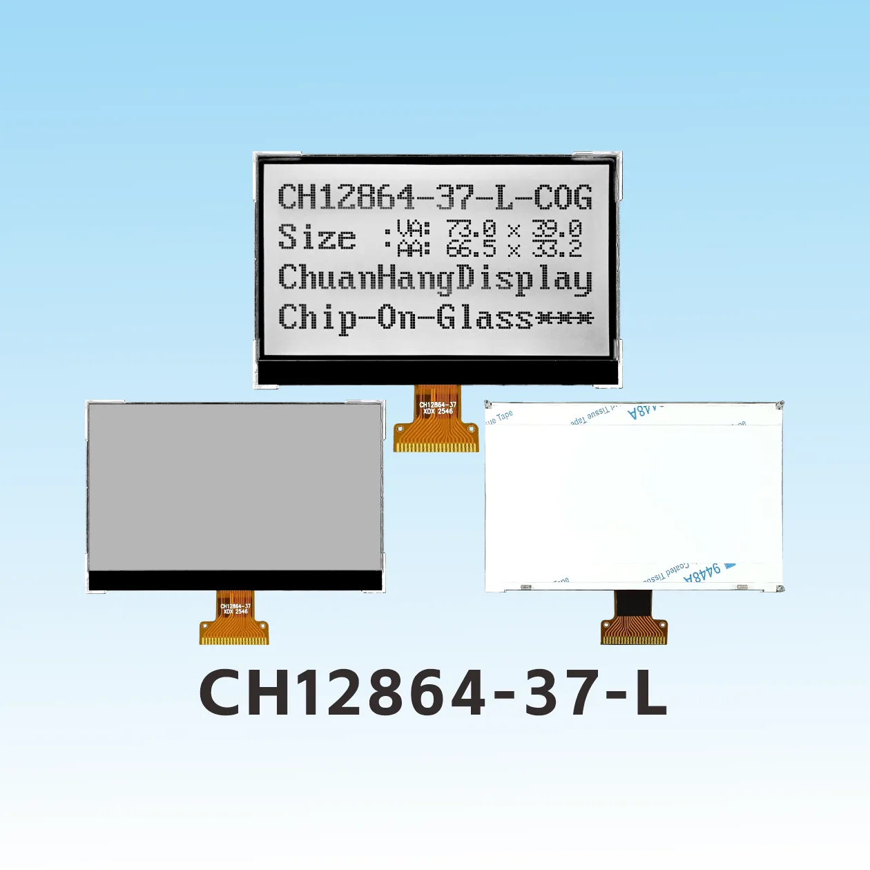 CH12864-37- L